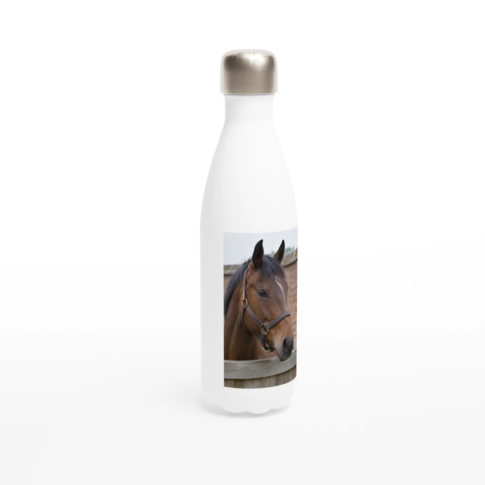 Gelato render: the example image on a 500ml steel bottle