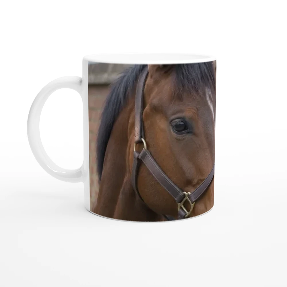 Gelato render: the example image round an 11oz mug